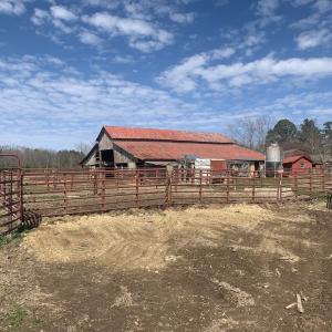 Photo #33 of SOLD property in 35935 NC Highway 561, Hollister, NC 80.0 acres