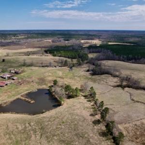 Photo #35 of SOLD property in 35935 NC Highway 561, Hollister, NC 80.0 acres