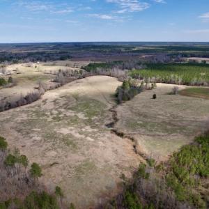 Photo #37 of SOLD property in 35935 NC Highway 561, Hollister, NC 80.0 acres