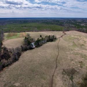 Photo #42 of SOLD property in 35935 NC Highway 561, Hollister, NC 80.0 acres