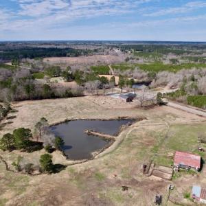 Photo #43 of SOLD property in 35935 NC Highway 561, Hollister, NC 80.0 acres