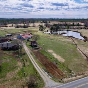 Photo #45 of SOLD property in 35935 NC Highway 561, Hollister, NC 80.0 acres