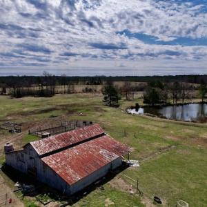 Photo #46 of SOLD property in 35935 NC Highway 561, Hollister, NC 80.0 acres