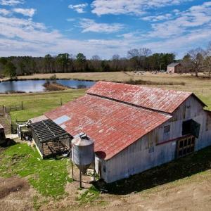 Photo #47 of SOLD property in 35935 NC Highway 561, Hollister, NC 80.0 acres