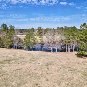 Photo #49 of SOLD property in 35935 NC Highway 561, Hollister, NC 80.0 acres