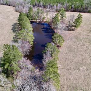 Photo #50 of SOLD property in 35935 NC Highway 561, Hollister, NC 80.0 acres