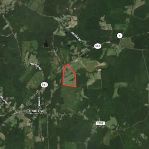 Photo #51 of SOLD property in 35935 NC Highway 561, Hollister, NC 80.0 acres