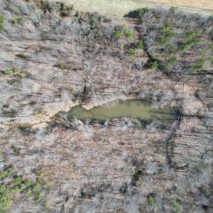 Photo #8 of Off Deer View Road, Gretna, VA 57.5 acres