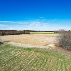 Photo #10 of Off Deer View Road, Gretna, VA 57.5 acres