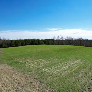 Photo #13 of Off Deer View Road, Gretna, VA 98.6 acres