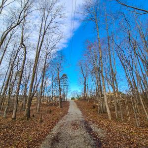 Photo #24 of SOLD property in 675 Herman Farmer Road, Keeling, VA 35.0 acres