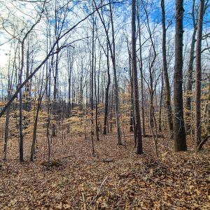 Photo #29 of SOLD property in 675 Herman Farmer Road, Keeling, VA 35.0 acres