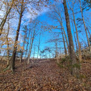 Photo #31 of SOLD property in 675 Herman Farmer Road, Keeling, VA 35.0 acres