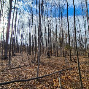 Photo #32 of SOLD property in 675 Herman Farmer Road, Keeling, VA 35.0 acres