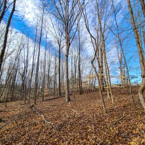 Photo #33 of SOLD property in 675 Herman Farmer Road, Keeling, VA 35.0 acres