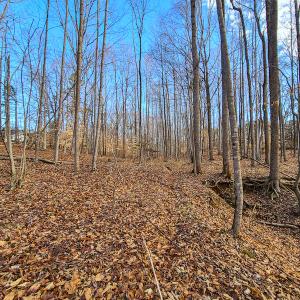 Photo #34 of SOLD property in 675 Herman Farmer Road, Keeling, VA 35.0 acres