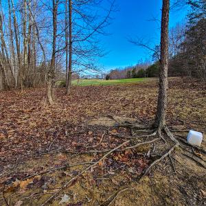 Photo #48 of SOLD property in 675 Herman Farmer Road, Keeling, VA 35.0 acres