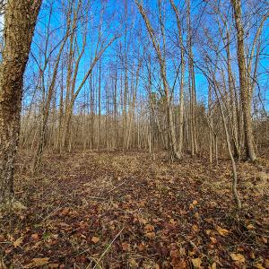 Photo #49 of SOLD property in 675 Herman Farmer Road, Keeling, VA 35.0 acres