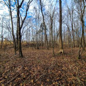 Photo #50 of SOLD property in 675 Herman Farmer Road, Keeling, VA 35.0 acres