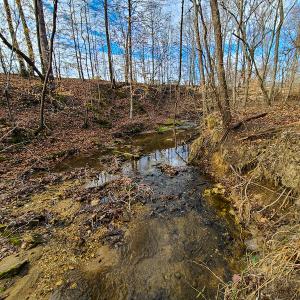 Photo #51 of SOLD property in 675 Herman Farmer Road, Keeling, VA 35.0 acres