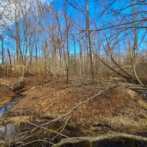 Photo #52 of SOLD property in 675 Herman Farmer Road, Keeling, VA 35.0 acres