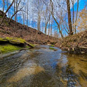 Photo #53 of SOLD property in 675 Herman Farmer Road, Keeling, VA 35.0 acres