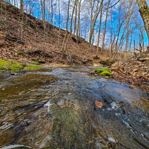 Photo #54 of SOLD property in 675 Herman Farmer Road, Keeling, VA 35.0 acres