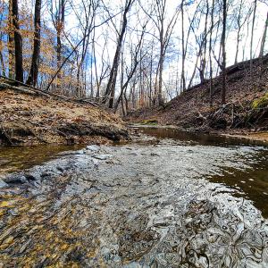 Photo #55 of SOLD property in 675 Herman Farmer Road, Keeling, VA 35.0 acres