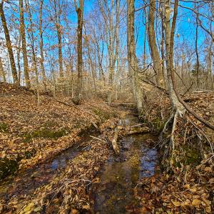 Photo #56 of SOLD property in 675 Herman Farmer Road, Keeling, VA 35.0 acres