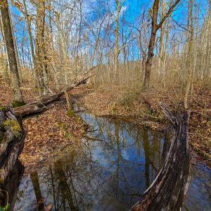 Photo #58 of SOLD property in 675 Herman Farmer Road, Keeling, VA 35.0 acres