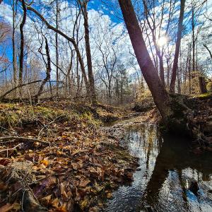 Photo #59 of SOLD property in 675 Herman Farmer Road, Keeling, VA 35.0 acres