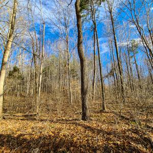 Photo #60 of SOLD property in 675 Herman Farmer Road, Keeling, VA 35.0 acres