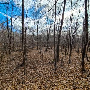 Photo #61 of SOLD property in 675 Herman Farmer Road, Keeling, VA 35.0 acres