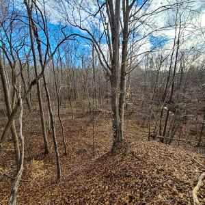 Photo #63 of SOLD property in 675 Herman Farmer Road, Keeling, VA 35.0 acres