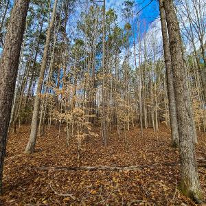 Photo #64 of SOLD property in 675 Herman Farmer Road, Keeling, VA 35.0 acres