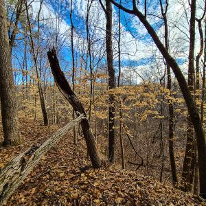 Photo #65 of SOLD property in 675 Herman Farmer Road, Keeling, VA 35.0 acres