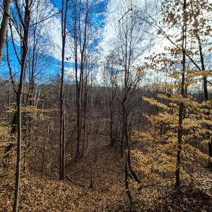 Photo #66 of SOLD property in 675 Herman Farmer Road, Keeling, VA 35.0 acres