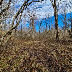 Photo #68 of SOLD property in 675 Herman Farmer Road, Keeling, VA 35.0 acres
