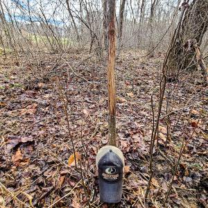 Photo #69 of SOLD property in 675 Herman Farmer Road, Keeling, VA 35.0 acres