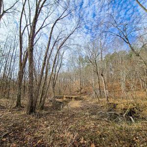 Photo #70 of SOLD property in 675 Herman Farmer Road, Keeling, VA 35.0 acres