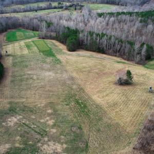 Photo #75 of SOLD property in 675 Herman Farmer Road, Keeling, VA 35.0 acres