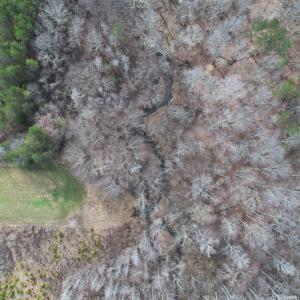 Photo #77 of SOLD property in 675 Herman Farmer Road, Keeling, VA 35.0 acres