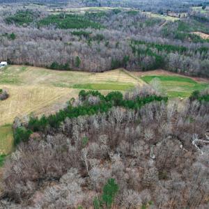 Photo #78 of SOLD property in 675 Herman Farmer Road, Keeling, VA 35.0 acres