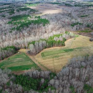 Photo #81 of SOLD property in 675 Herman Farmer Road, Keeling, VA 35.0 acres