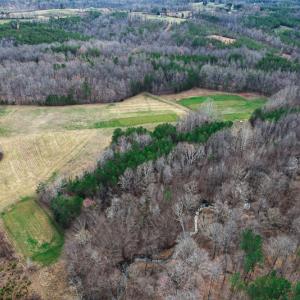 Photo #83 of SOLD property in 675 Herman Farmer Road, Keeling, VA 35.0 acres