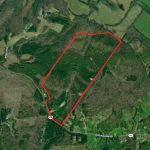 Photo #1 of SOLD property in Off Hog Wallow Road, Nathalie, VA 98.4 acres