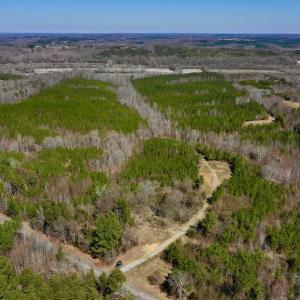 Photo #2 of SOLD property in Off Hog Wallow Road, Nathalie, VA 98.4 acres