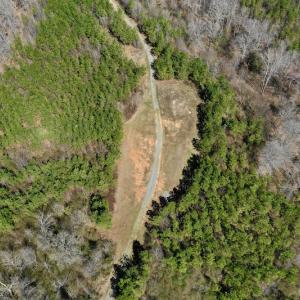 Photo #3 of SOLD property in Off Hog Wallow Road, Nathalie, VA 98.4 acres