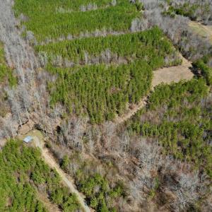 Photo #4 of SOLD property in Off Hog Wallow Road, Nathalie, VA 98.4 acres