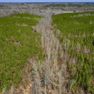 Photo #5 of SOLD property in Off Hog Wallow Road, Nathalie, VA 98.4 acres